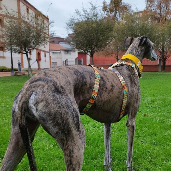 Triple Dog harness for greyhound and other breeds Terracota Inca. Not Pull Harness. Cotton adjustable whippet harness, gift for dog lover