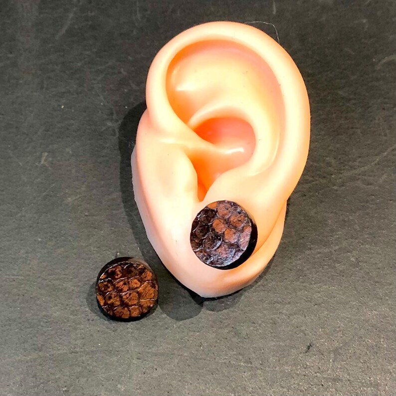 May include: Two brown, textured ear plugs. One is inserted into a prosthetic ear, the other is next to it. The plugs have a scale-like pattern and a dark brown color. The background is a dark gray.