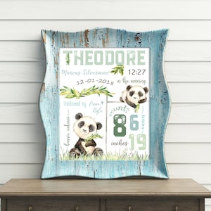May include: A framed print with a distressed blue frame. The print features a panda bear illustration and the name "THEODORE" in large letters. It includes details like weight (86 pounds), height (19 inches), and the date and time of birth.