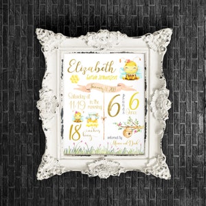 Honey Bee Bumble Bee Baby gift Honey Bee Birth Stats Pillow