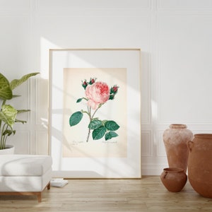 Flower art print | Printable art | Vintage Wall Art | Vintage decor | Digital Prints | Printable Wall Art | Wall Decor | Vintage Posters