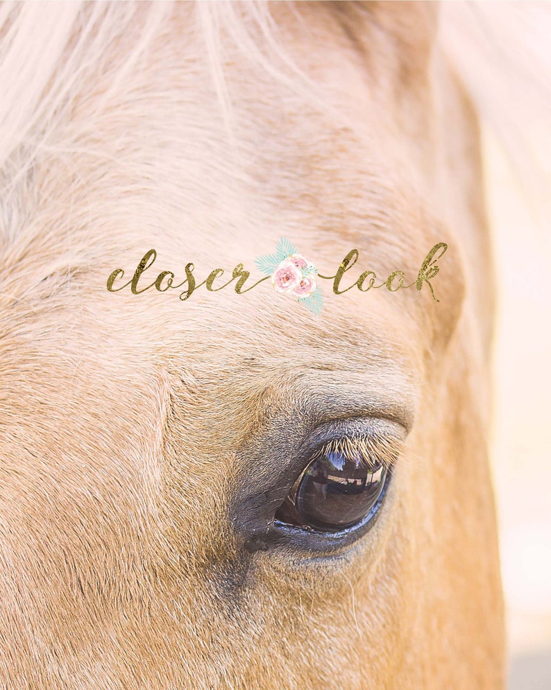 Horse Wall Art Horse Nursery Theme Farmhouse Decor Nursery Etsy Canada