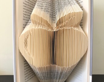 APPLE Book Folding Pattern. DIY gift for folded book art. Template with clear instructions. Very easy no measuring. Gift for a teacher