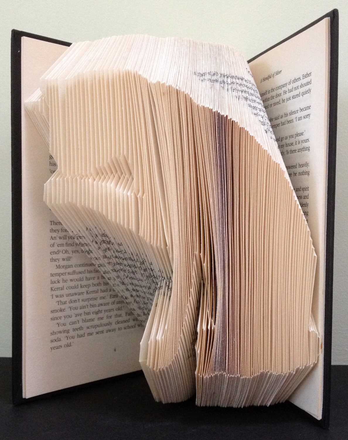 CAT Having a WASH Book Folding Pattern. DIY Gift for Folded - Etsy