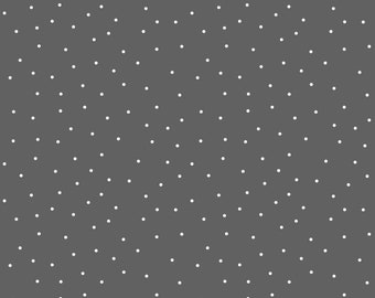 タイニードットベーシックス生地 - キンバーベルデザインズ（メイウッドスタジオ向け） - MAS8210-KW グレーホワイト - 1/2ヤード