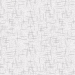 May include: A white textured background with a subtle pattern of thin, gray lines forming a grid.