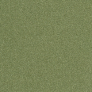 May include: A solid green textured background.