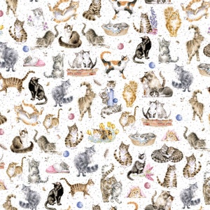 Cats Directional - Whiskers and Paws by Hannah Dale for Maywood Studio - MAS10414-W White - 1/2 yard