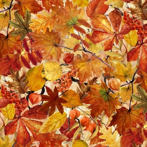 Foliage - Autumn Celebration by Jason Yenter for In The Beginning Fabrics - 2AUT1 Multi - 1/2 yard