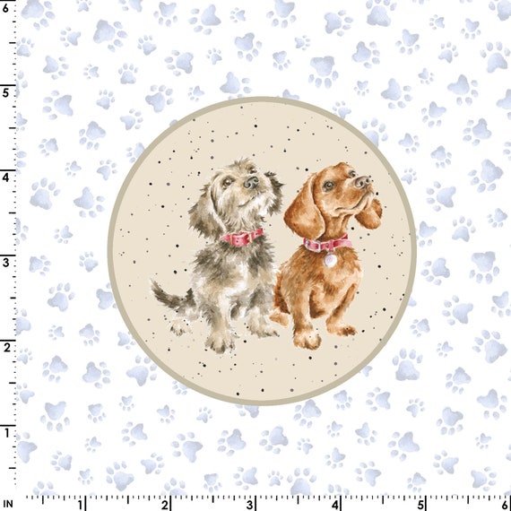 Whiskers and Paws Running Circles Dogs Whiskers and Paws Running Circles Dogs