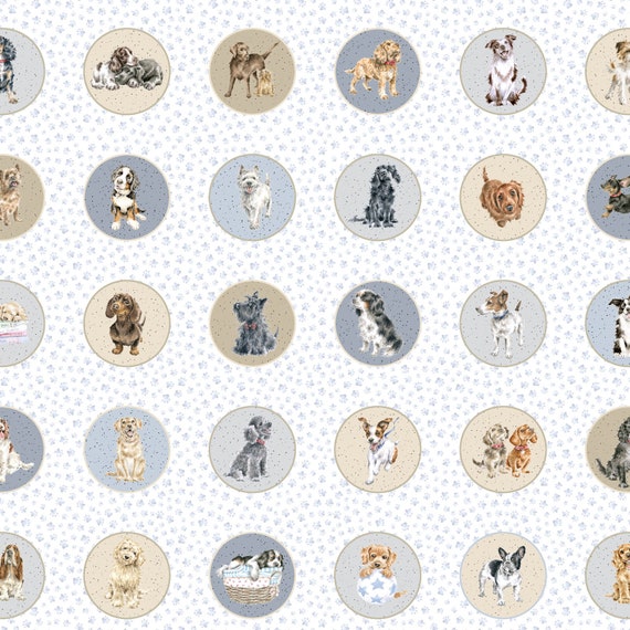 Whiskers and Paws Running Circles Dogs Whiskers and Paws Running Circles Dogs