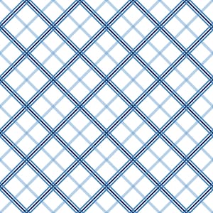 Plaid Basics Fabric - Kimberbell Designs for Maywood Studios - MAS8262-B Blue - 1/2 yard