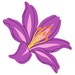 Avatar van DayLilyFabricShop