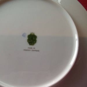 Bavaria Western Germany Plate, Vintage Hand Painted Plate With Gold