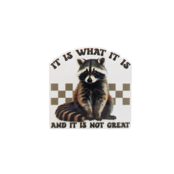 It is What it Is / Raccoon  / PLASTIC Add on / 8B11