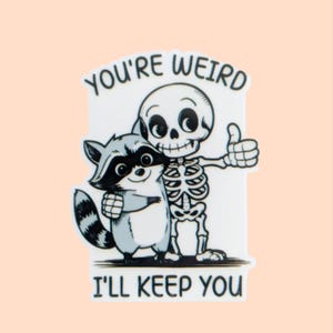 You&#39;re Weird / Raccoon / PLASTIC Add on