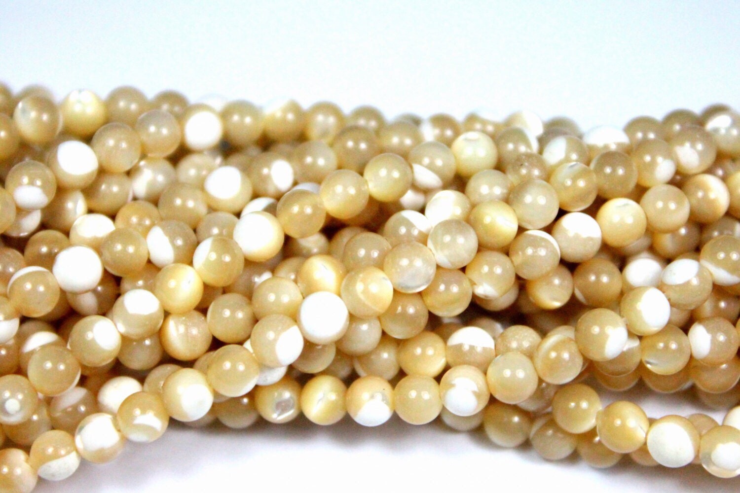 4mm Ivory Shell Beads Shell Beads 16inch Full Strand - Etsy