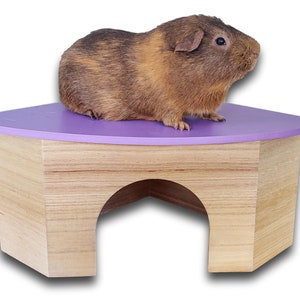 All Natural Large Wooden Corner Guinea Pig Hidey Hut image 2