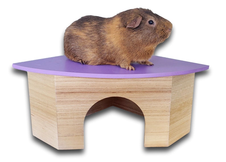 All Natural Large Wooden Corner Guinea Pig Hidey Hut image 2