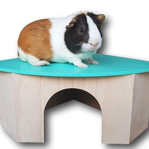 All Natural Large Wooden Corner Guinea Pig Hidey Hut Teal