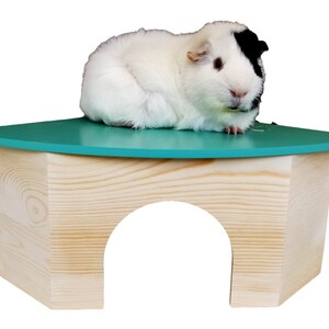 All Natural Large Wooden Corner Guinea Pig Hidey Hut Green