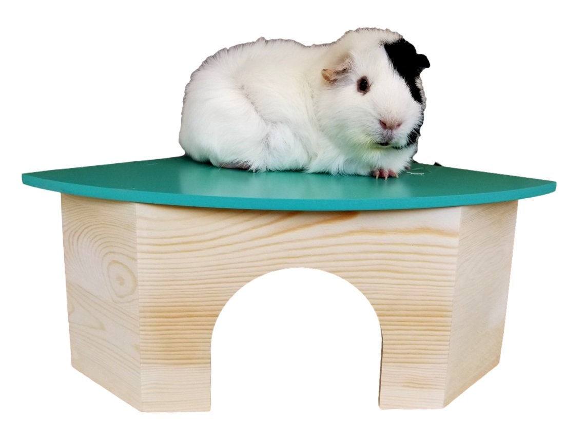 Piggies Choice The Space House All Natural Large Wooden Corner Hideout Guinea Pig and Bunny Hut 