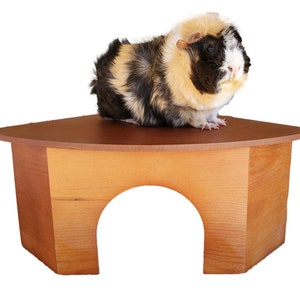 All Natural Large Wooden Corner Guinea Pig Hidey Hut Warm Cherry