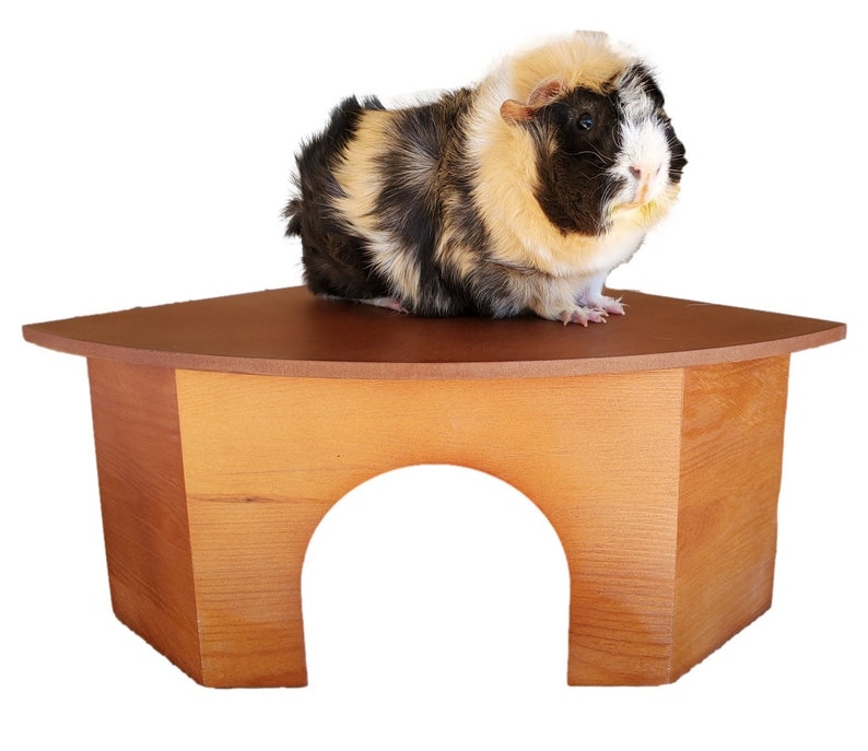 All Natural Large Wooden Corner Guinea Pig Hidey Hut Warm Cherry