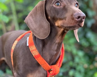 Harris Tweed Orange Khaki Tweed Dog Harness Rose Gold Matte Black or Silver Adjustable