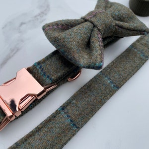 Puede incluir: Un collar para perro de cuadros verdes y azules con una hebilla de oro rosa y una pajarita a juego.