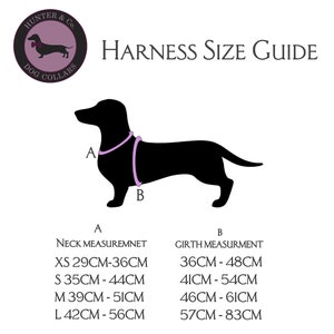 May include: A size guide for dog harnesses, showing a black silhouette of a dachshund with measurements labeled "A" for neck and "B" for girth. The chart lists sizes XS through L with corresponding neck and girth measurements in centimeters.