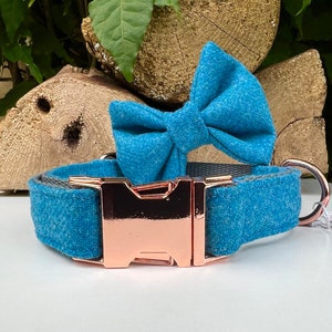 Puede incluir: Un collar de perro azul con una hebilla de oro rosa y una pajarita azul a juego.