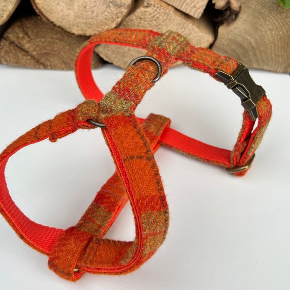 Harris tweed dog harness deals