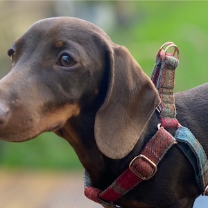 Autumnal Khaki Tweed Dog Harness Rose Gold Matte Black or Silver Adjustable Step In Style image 1