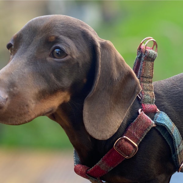 Harnais pour chien en tweed kaki automnal Rose Gold Matte Black ou Silver Step In Style réglable