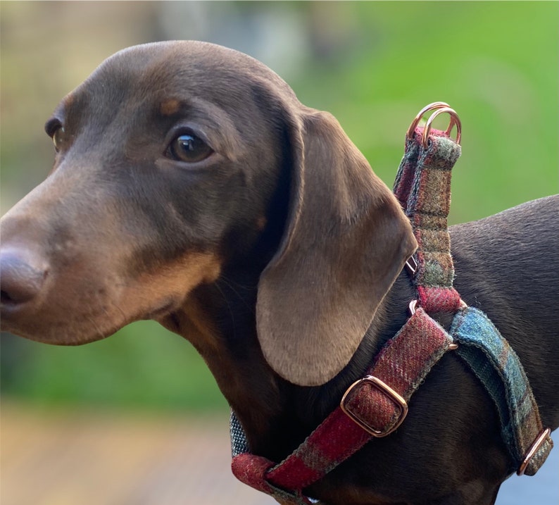 Autumnal Khaki Tweed Dog Harness Rose Gold Matte Black or Silver Adjustable Step In Style image 1