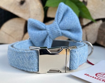 May include: A light blue dog collar with a matching bow tie and a silver buckle.