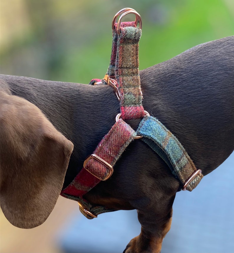 Autumnal Khaki Tweed Dog Harness Rose Gold Matte Black or Silver Adjustable Step In Style image 8