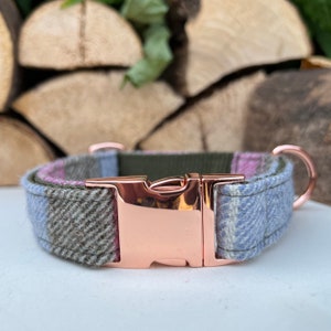 May include: A dog collar with a rose gold buckle and a plaid pattern in shades of green, pink, and blue.