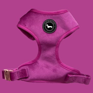 May include: A pink velvet dog harness with a black and white logo that says "Dash of Hounds".