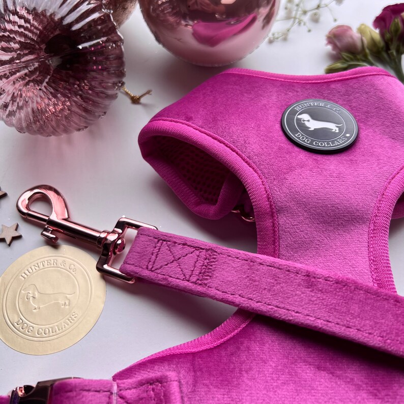 May include: A pink velvet dog harness with a rose gold metal clasp and a black and white logo that says "Hunter & Co. Dog Collars".