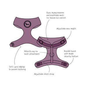 May include: Purple dog harness with adjustable chest strap, neck length, and metal D-ring for leash attachment. The harness has soft Lycra edging to prevent blistering and a durable buckle with a double security feature. The harness has the text "Hunter & Co. Dog Collars" printed on it.