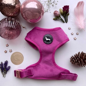 May include: A pink velvet dog harness with a black logo that says "Hunter & Co. Dog Collars" and a small dachshund silhouette.
