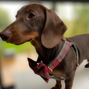 Autumnal Khaki Tweed Dog Harness Rose Gold Matte Black or Silver Adjustable Step In Style image 3