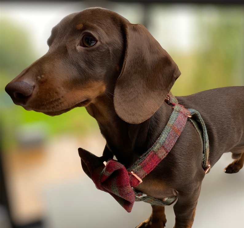 Autumnal Khaki Tweed Dog Harness Rose Gold Matte Black or Silver Adjustable Step In Style image 3