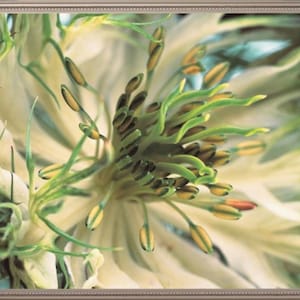 Kruissteekpatroon bloem 3D 478 moderne doe-het-zelf kruissteekpatroon Needlecraft geteld kruissteekkaart pdf-formaat direct downloaden