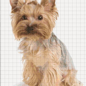 Yorkshire Terrier Dog 392 modern kruissteekpatroon kruissteektabel pdf-formaat direct downloaden