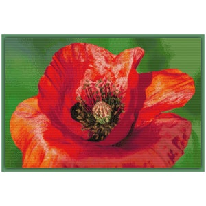 Kruissteekpatroon Rode klaproos bloemen Realistische kruissteek 777 Moderne kruissteekkaart Geteld PDF-formaat Instant Download DIY