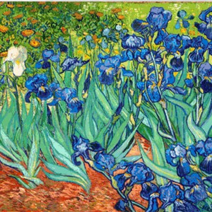 Vincent van Gogh irissen 526 modern kruissteekpatroon geteld kruissteektabel pdf-formaat direct downloaden