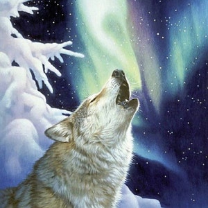 Wolf and Moon 553 modern kruissteekpatroon telpatroon, pdf-formaat, direct downloaden